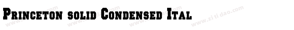 Princeton solid Condensed Italic字体转换
